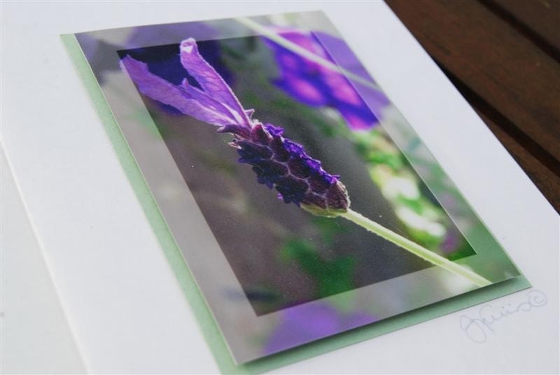 Gift card Lavender Print 3D photographic