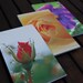 Flower Notepads - photographic viola and rose design - set of three