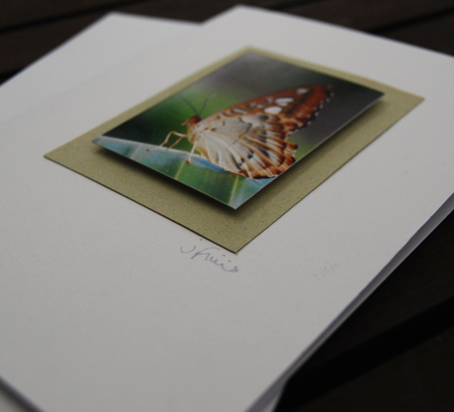 Butterfly card 3D photographic print - nature theme
