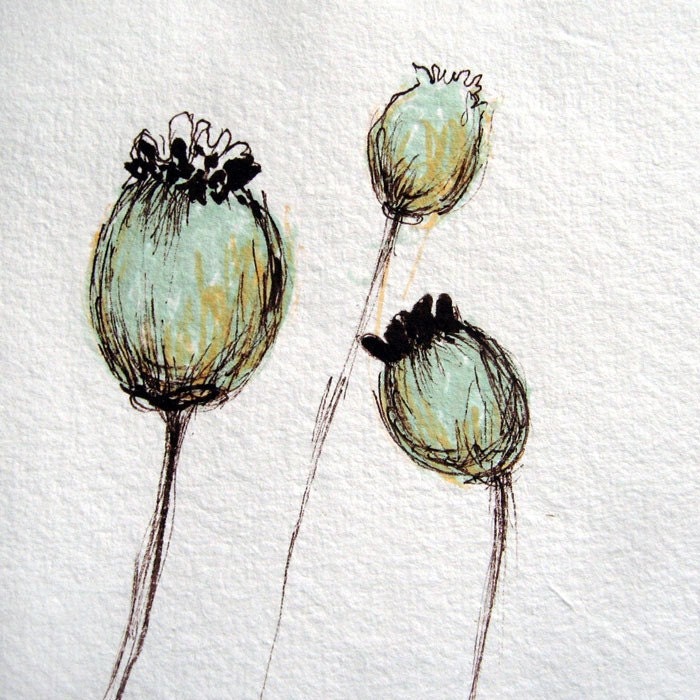 Poppies - mini print/ note card