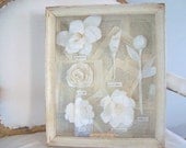 Paper Flowers under Old Wavey Glass