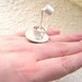 Kawaii Cute Japanese Floating Ring - Tea With Cream