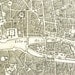 Real Butterfly in Paris Archival Print of the City of Paris 1776