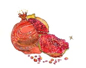 Pomegranate Print Limited Edition 13 x 19