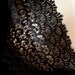 Black Venice Lace for Bridal Sashes, Costume or Jewelry Design L 3082