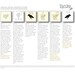 Bloom- 10 Graphics, each 13 in. - item 10010
