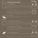 Vinyl Wall Decal, Classic Medallions - 24 Graphics, Wallpaper, Stickers item 10034