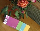 12 A1 Bright and Colorful Personalized Blank Flower Border Notecards