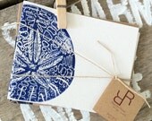 Sand Dollar - Set of 8 Blank Cards