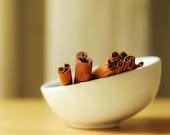 Food Baking Spice Photograph - brown fall autumn harvest winter chocolate brown cinnamon golden yellow sage fine art print - Sticks 8x10