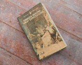 Miniature Great Expectations