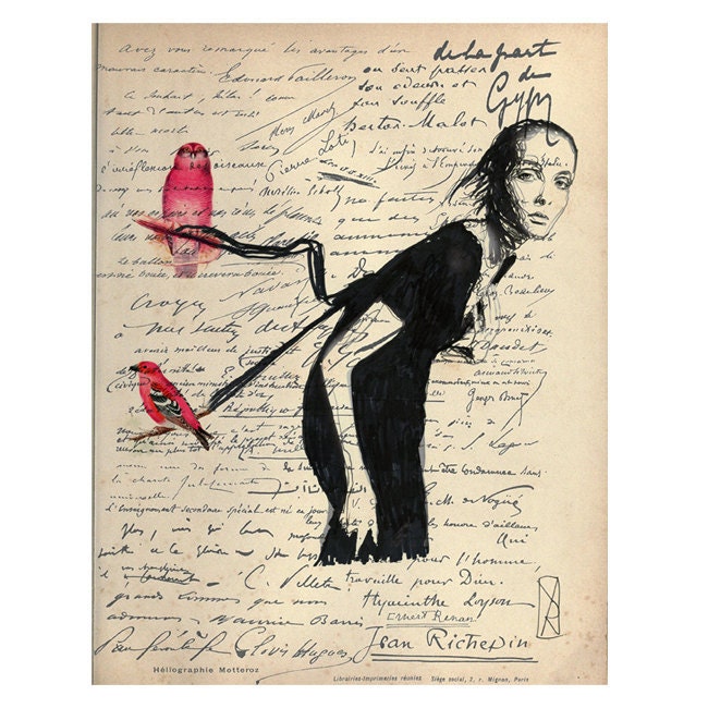 love print illustration red blue birds large 28x20