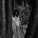 SHE, WOLF