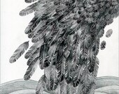 Limited Edition Print A4 size - Black feathers  3/50