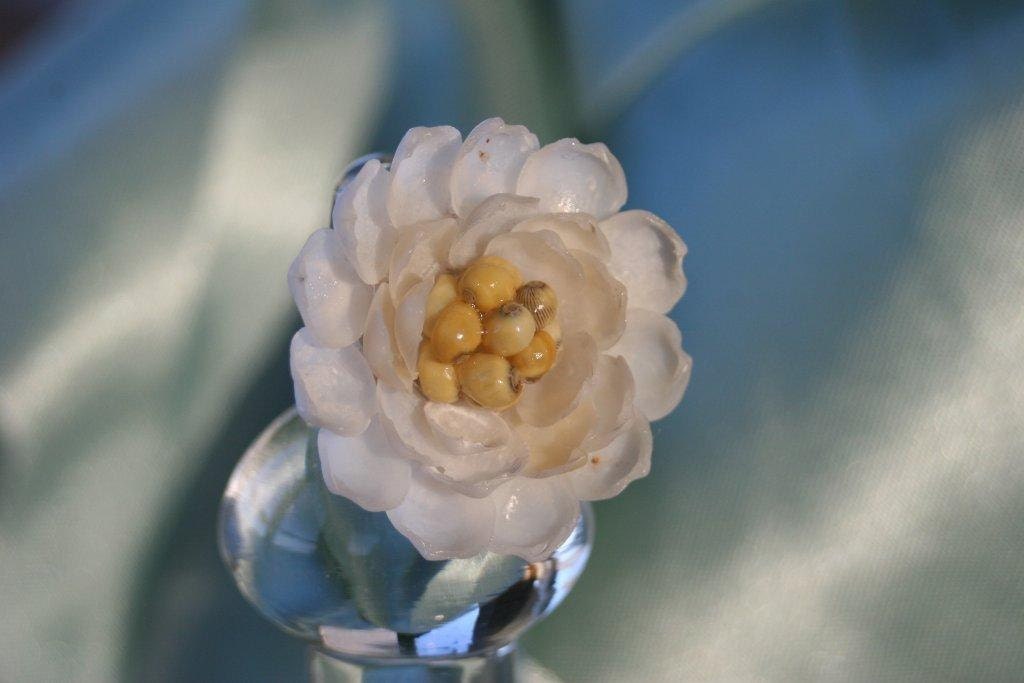 SHELLFLOWER RING Yellow & White Blossom Ring inspired by Sailors Valentines