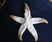 Elegant White Sparkling Genuine STARFISH