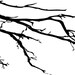 World Goth Day Sale SALE The Bat's Tree Vinyl Wall Art-Choose any color