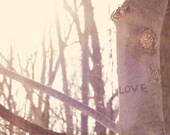 Love 5 by 7 Photograph