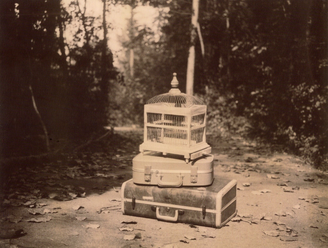 Bird Cage & Suitcases 8 by 10 print
