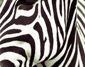 Zebra Stripes - 7 X 10 fine-art print