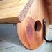 Birdhouse Teardrop Shape, Knotty Pine and Cedar