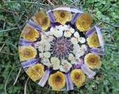 Paperweight ,Kaleidoscope pattern.  Pressed flowers and petals behind glass round .
