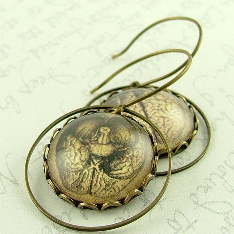 Doctor Jewelry - Dissected Human Brain Anatomical Earrings