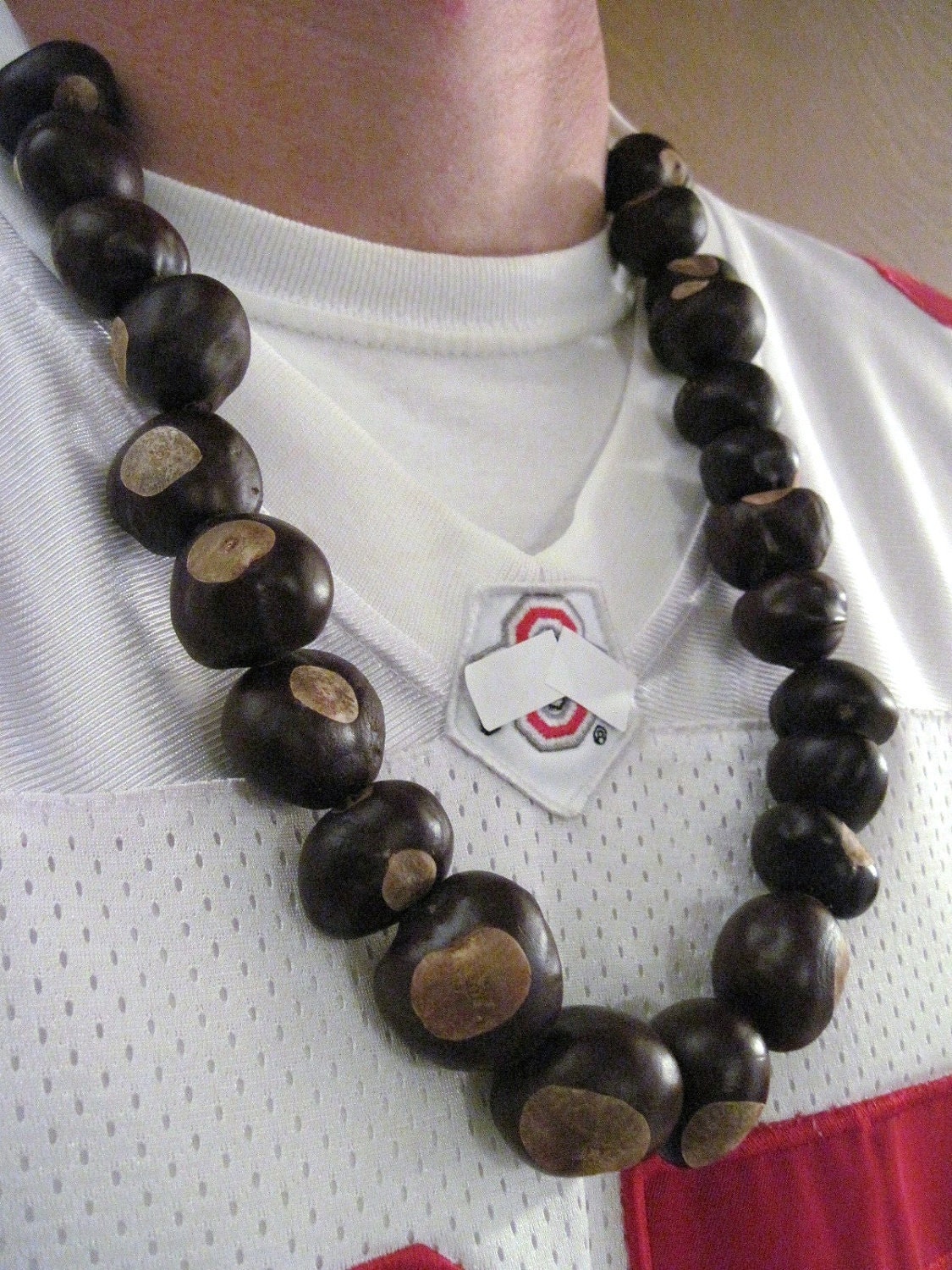 Nothing But Nuts Buckeye Necklace
