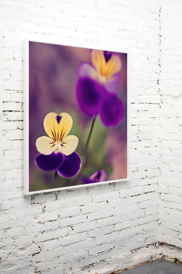 summer viola flower photograph / violet, pansy, purple, amethyst, yellow, gold, green, macro / voila viola / 8x8 fine art photo