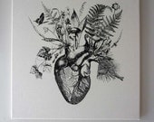 Growing Human Heart silk screened natural canvas wall hanging 16x16 black