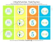 Ice Cream Party for Boys Printable Cupcake Toppers by The TomKat Studio