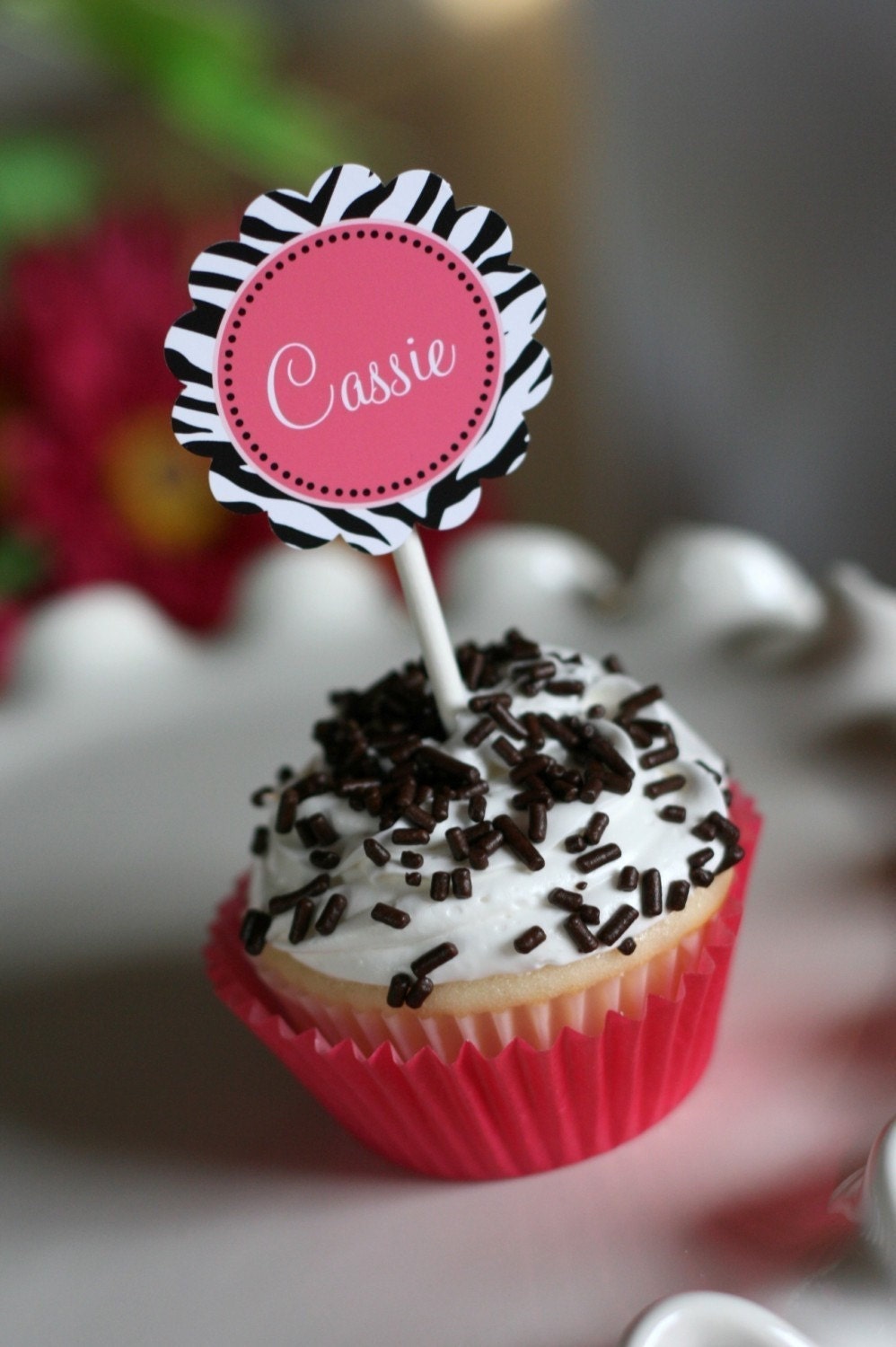 Printable Party Circles - Zebra and Pink Collection - The TomKat Studio