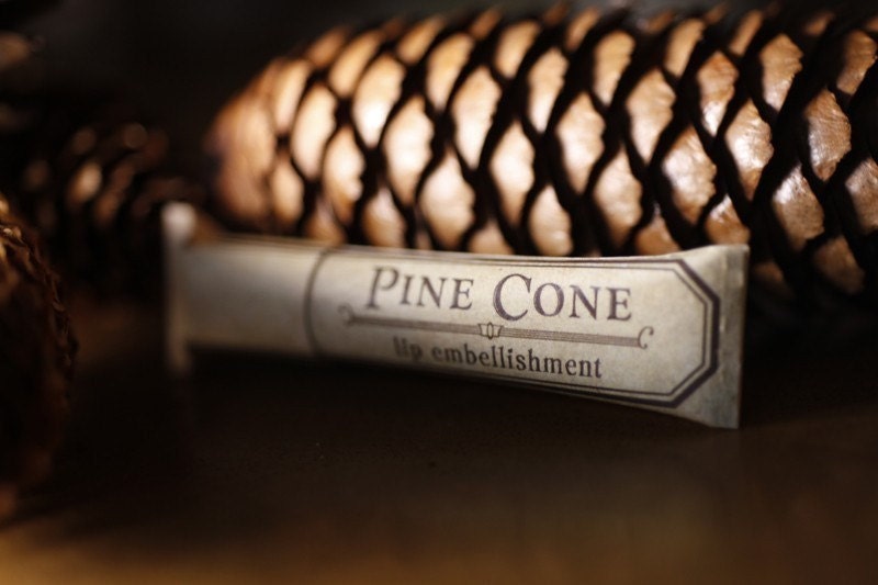 Pine Cone lip embellishment in eco friendly tube - ForStrangeWomen