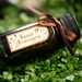 Sweet Androgyny - natural perfume oil