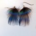 Blue Peacock Feather earrings small