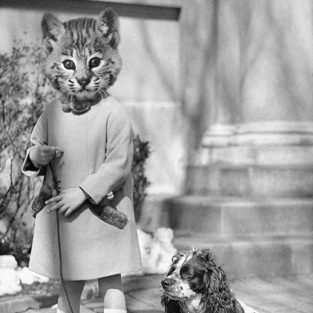 5x7 Cecilia Kittensworth - Kitten Photographic Art Print