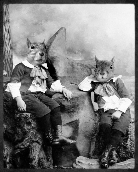 8x10 The Squirrelton Twins - Squirrrel Photographic Art Print