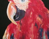 Gypsy the Parrot Original Painting by Jennifer Moreman