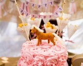 DIY Happy Birthday Cake Bunting Vintage Shabby Chic Pony Horse Party - Instant Download