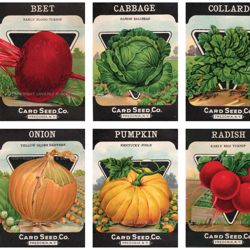 Vintage Seed Packets - 2x2.75 - Digital Collage Sheet No. 811