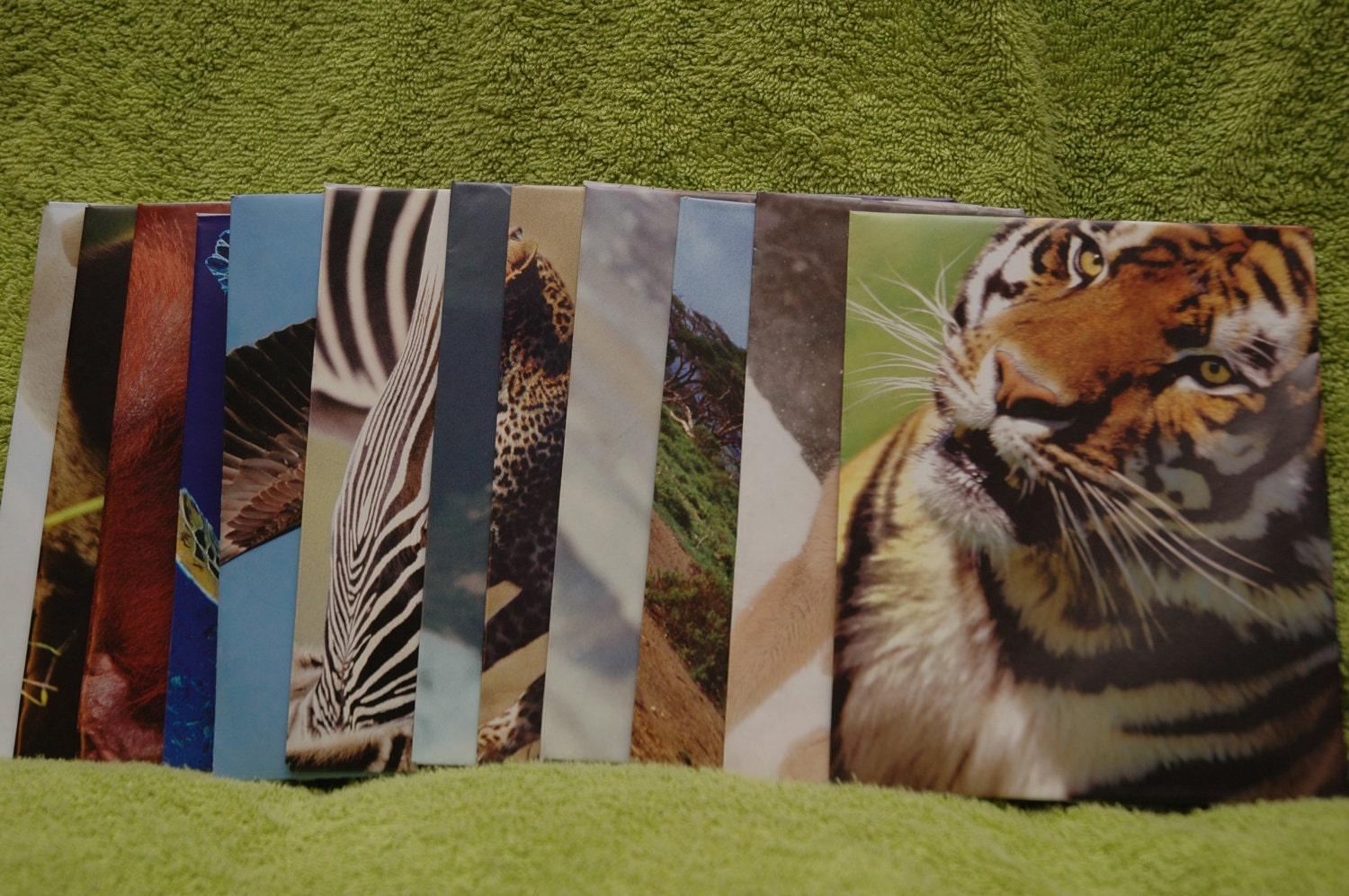 Recycled wild animal envelopes handmade from recycled paper