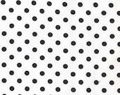 Dumb Dot in Black by Michael Miller - 1 Yard