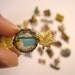Lot of 27 Canada Souvenir Travel pins including one extra cool older glass domed reverse painted type one