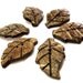 Leaf Coconut chocolate brown eco friendly Button set of 6 (600A)