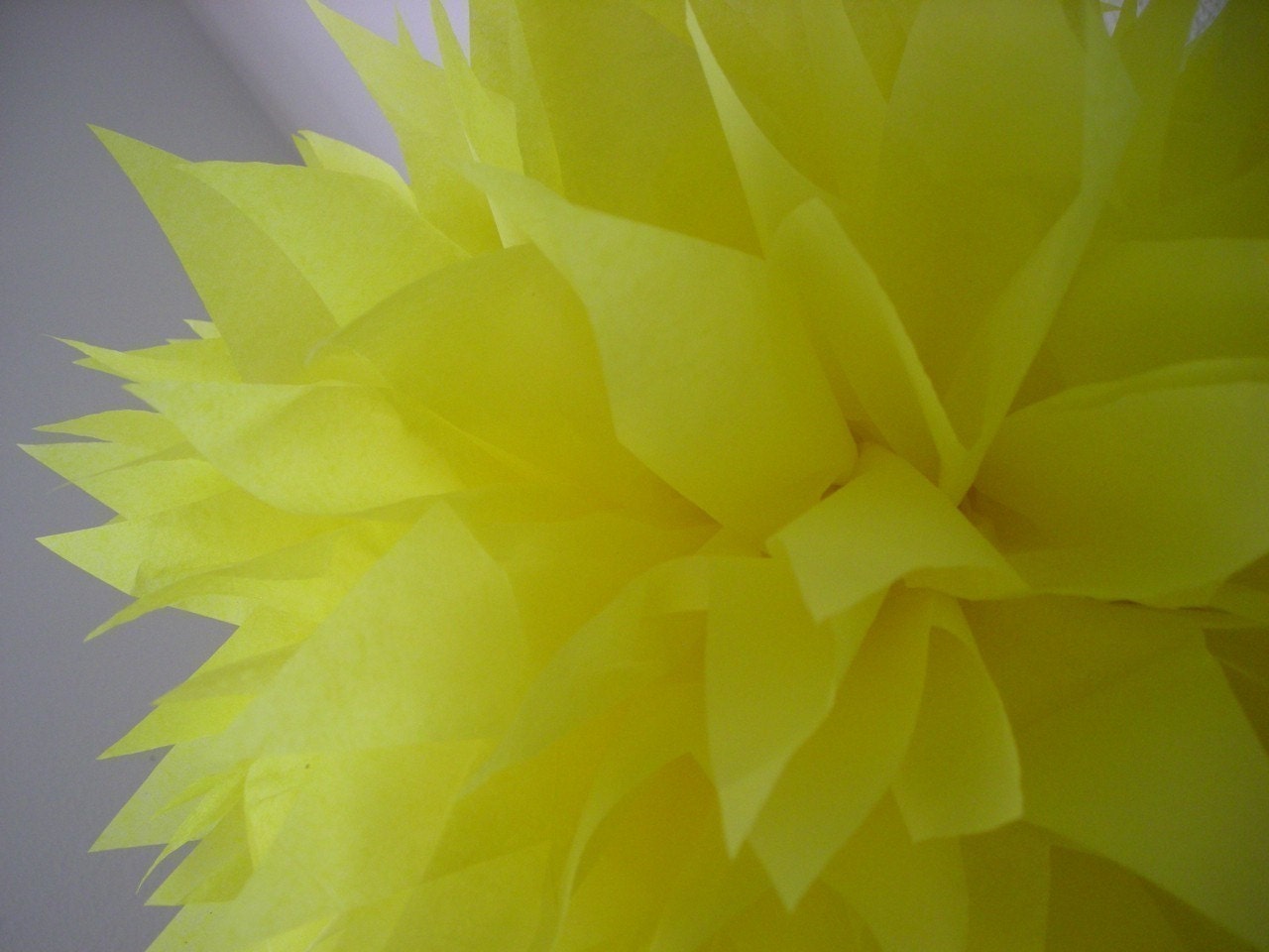Sunshine... 1 pom Il_170x135