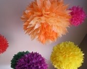 Zinnia Lover 7 Piece Pom Kit