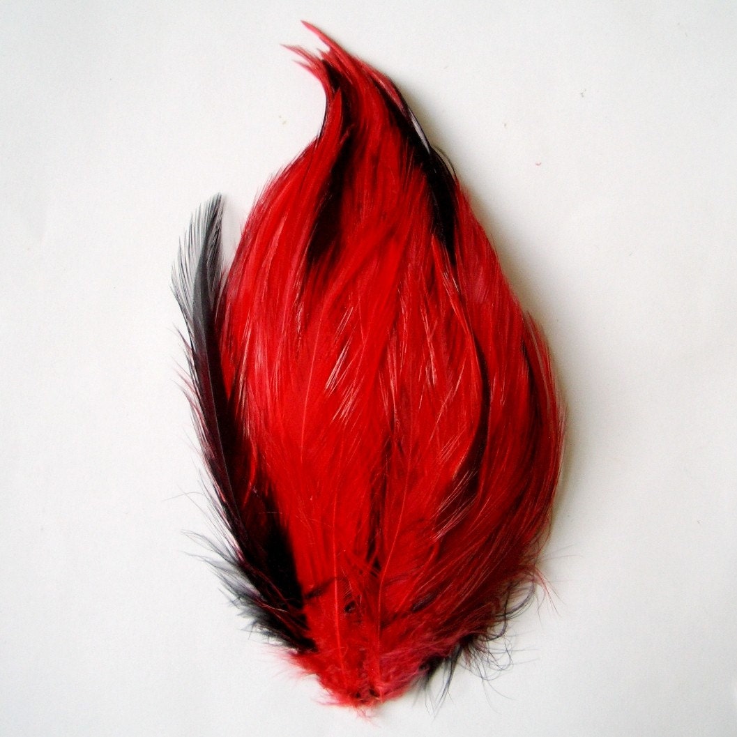 Red on Black Hackle Feather Pad