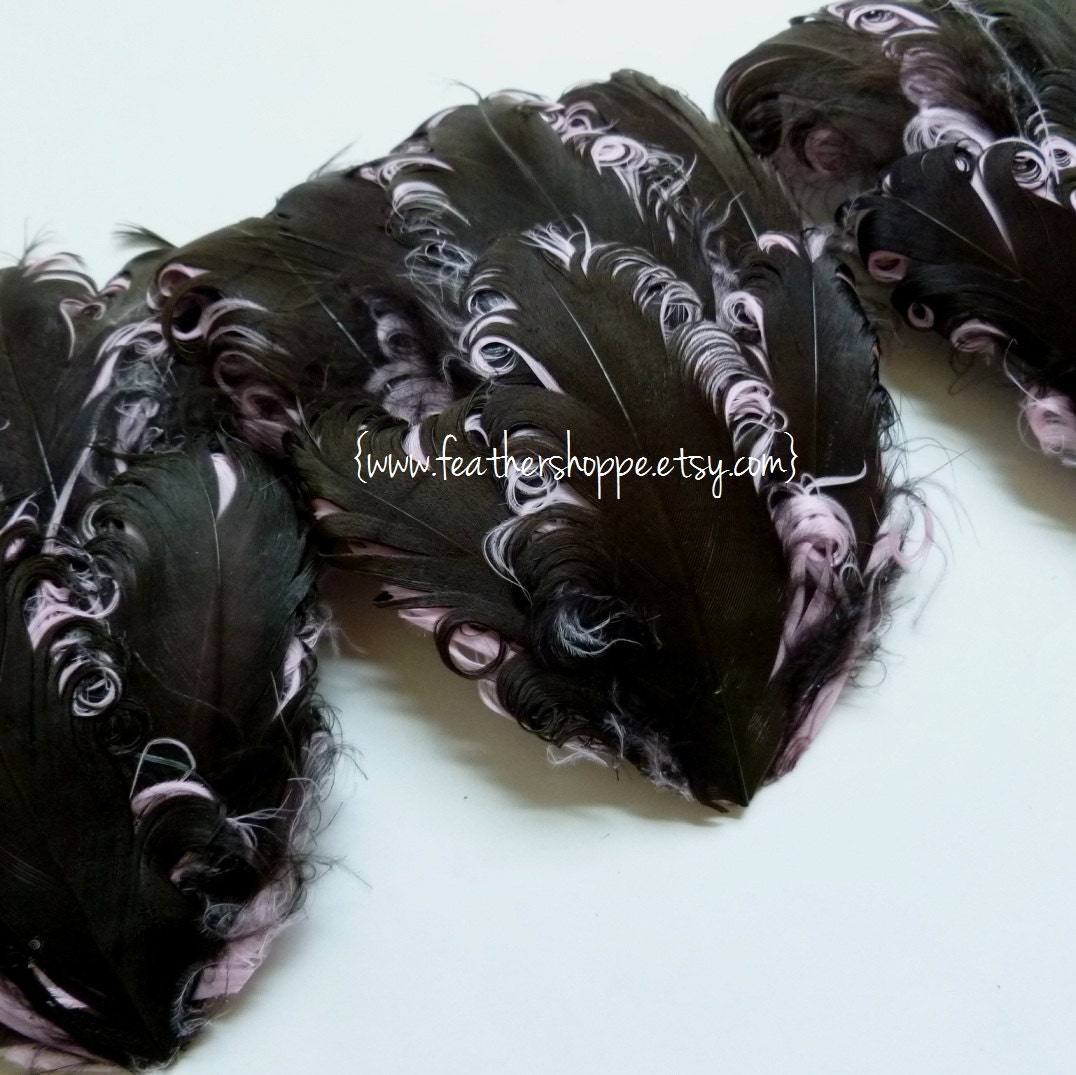 SET OF 5 - Chocolate on Light Pink Curled Goose Feather Pad