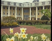 Spring at Congress Hall - Ttv - 8x8 Fine Art Photography Print