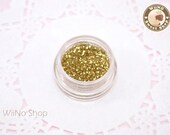 Champagne Gold Glitter Dust Powder / Sparkle Powder / Nail Art Craft (B12)